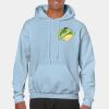 Heavy Blend Adult Hooded Sweatshirt Thumbnail