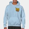 Heavy Blend Adult Hooded Sweatshirt Thumbnail