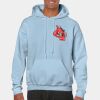 Heavy Blend Adult Hooded Sweatshirt Thumbnail