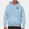 Heavy Blend Adult Hooded Sweatshirt Thumbnail