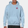 Heavy Blend Adult Hooded Sweatshirt Thumbnail