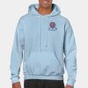 Heavy Blend Adult Hooded Sweatshirt Thumbnail
