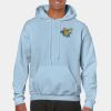 Heavy Blend Adult Hooded Sweatshirt Thumbnail