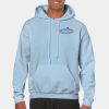 Heavy Blend Adult Hooded Sweatshirt Thumbnail