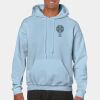 Heavy Blend Adult Hooded Sweatshirt Thumbnail