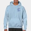 Heavy Blend Adult Hooded Sweatshirt Thumbnail
