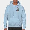 Heavy Blend Adult Hooded Sweatshirt Thumbnail