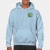 Heavy Blend Adult Hooded Sweatshirt Thumbnail
