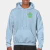 Heavy Blend Adult Hooded Sweatshirt Thumbnail