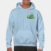 Heavy Blend Adult Hooded Sweatshirt Thumbnail