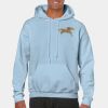 Heavy Blend Adult Hooded Sweatshirt Thumbnail