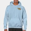 Heavy Blend Adult Hooded Sweatshirt Thumbnail