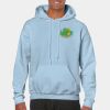 Heavy Blend Adult Hooded Sweatshirt Thumbnail