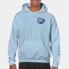 Heavy Blend Adult Hooded Sweatshirt Thumbnail