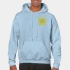 Heavy Blend Adult Hooded Sweatshirt Thumbnail
