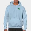 Heavy Blend Adult Hooded Sweatshirt Thumbnail