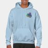 Heavy Blend Adult Hooded Sweatshirt Thumbnail