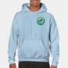 Heavy Blend Adult Hooded Sweatshirt Thumbnail