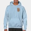 Heavy Blend Adult Hooded Sweatshirt Thumbnail