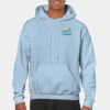 Heavy Blend Adult Hooded Sweatshirt Thumbnail