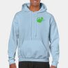Heavy Blend Adult Hooded Sweatshirt Thumbnail