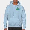 Heavy Blend Adult Hooded Sweatshirt Thumbnail