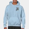 Heavy Blend Adult Hooded Sweatshirt Thumbnail