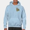 Heavy Blend Adult Hooded Sweatshirt Thumbnail