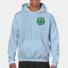 Heavy Blend Adult Hooded Sweatshirt Thumbnail