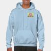 Heavy Blend Adult Hooded Sweatshirt Thumbnail