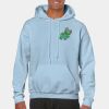 Heavy Blend Adult Hooded Sweatshirt Thumbnail