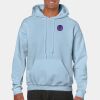 Heavy Blend Adult Hooded Sweatshirt Thumbnail