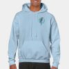 Heavy Blend Adult Hooded Sweatshirt Thumbnail