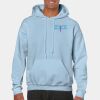 Heavy Blend Adult Hooded Sweatshirt Thumbnail