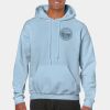 Heavy Blend Adult Hooded Sweatshirt Thumbnail