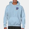 Heavy Blend Adult Hooded Sweatshirt Thumbnail