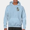 Heavy Blend Adult Hooded Sweatshirt Thumbnail