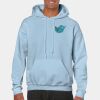 Heavy Blend Adult Hooded Sweatshirt Thumbnail