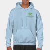 Heavy Blend Adult Hooded Sweatshirt Thumbnail