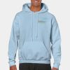 Heavy Blend Adult Hooded Sweatshirt Thumbnail