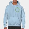 Heavy Blend Adult Hooded Sweatshirt Thumbnail