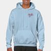 Heavy Blend Adult Hooded Sweatshirt Thumbnail