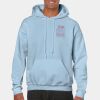 Heavy Blend Adult Hooded Sweatshirt Thumbnail