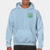 Heavy Blend Adult Hooded Sweatshirt Thumbnail