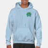 Heavy Blend Adult Hooded Sweatshirt Thumbnail