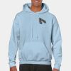 Heavy Blend Adult Hooded Sweatshirt Thumbnail