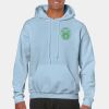 Heavy Blend Adult Hooded Sweatshirt Thumbnail