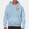 Heavy Blend Adult Hooded Sweatshirt Thumbnail