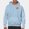 Heavy Blend Adult Hooded Sweatshirt Thumbnail