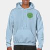 Heavy Blend Adult Hooded Sweatshirt Thumbnail